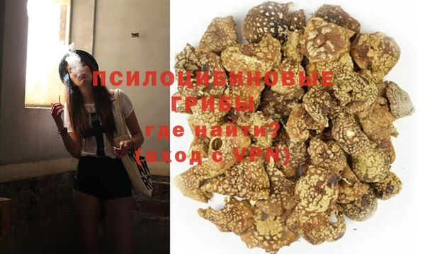 mdpv Бугульма