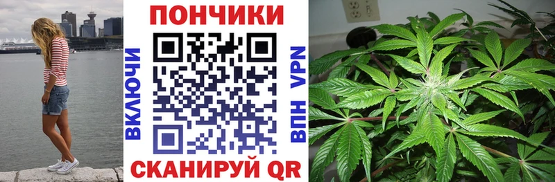 Бошки Шишки ГИДРОПОН  Купить  Балей 